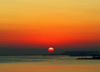 W co warto dziś inwestować? W co warto dziś inwestować?