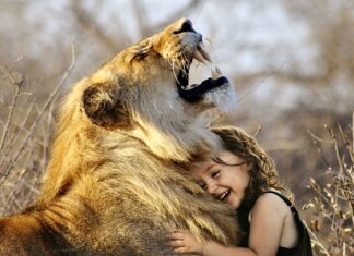 Jakie gry pójdą na Xbox Series s? Jakie gry pójdą na Xbox Series s?