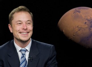 Jakie krypto posiada Elon Musk? Jakie krypto posiada Elon Musk?