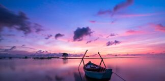 Jaki kolor przyciąga pieniądze?