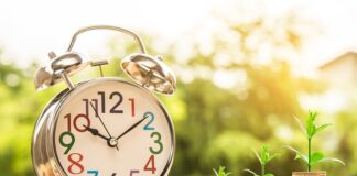 Co lepsze złote monety czy sztabki?