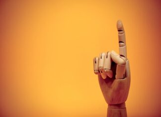 Czy Shiba inu wzrośnie? Czy Shiba inu wzrośnie?