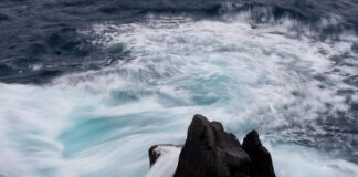 Co zrobić gdy cena akcji spada?