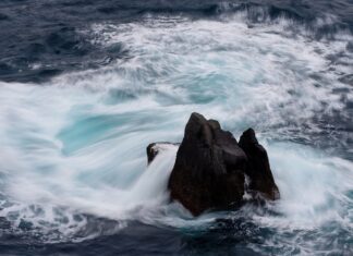 Co zrobić gdy cena akcji spada?