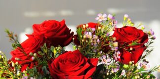 Kiedy był najdroższy Bitcoin?