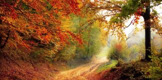 Co powoduje spadek bitcoina?