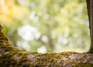 Co obniża zdolność kredytową?