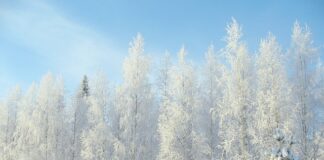 Czy można być na minusie w Kryptowalutach?