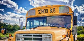 Jak promować swoją markę?