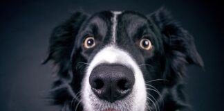 Ile zarabia górnik kryptowalut?