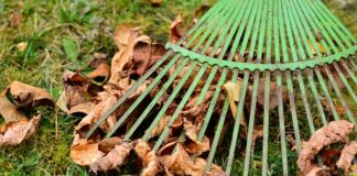 Jaka prowizja za zakup kryptowalut?