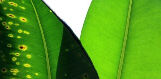 Gdzie porównać ceny?