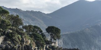 Ile kosztuje wymiana klocków w ASO?