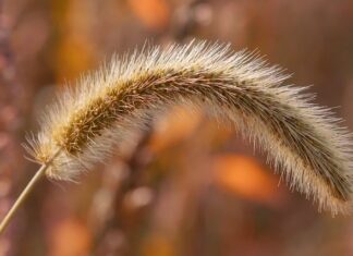 Z jaką siłą dokręcić głowice?