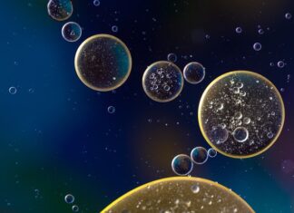 Jaki Klucz do korka oleju Peugeot 206?