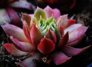 Przy jakiej grubości wymieniać klocki? Przy jakiej grubości wymieniać klocki?