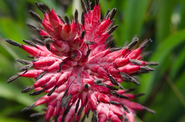 Co zamiast wazeliny technicznej? Co zamiast wazeliny technicznej?