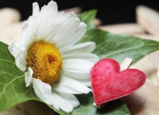 Czy nowy zacisk hamulcowy trzeba smarować?