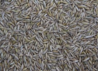 Kto produkuje klocki dla ATE?