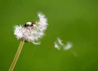 Czy powinno dmuchać z korka oleju?